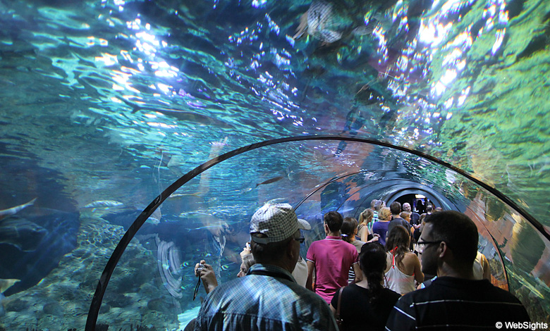 Loro Parque aquarium
