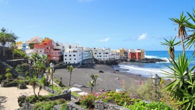 Playa Jardin